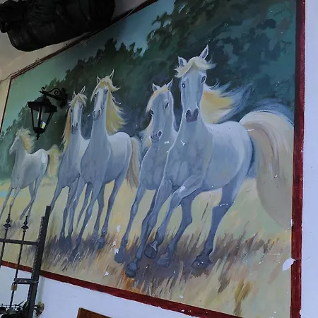 Pensjonat Casale Paradiso 3*